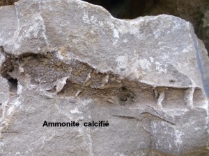 Photo 27.JPG
