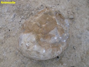 Photo 27.JPG