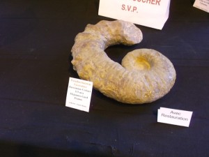 Photo 27.JPG