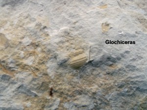 Photo 27.JPG