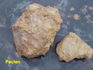 Photo 29.JPG