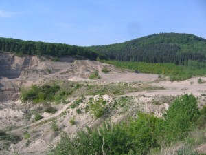 Photo 2.JPG