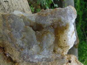 Photo 31.JPG