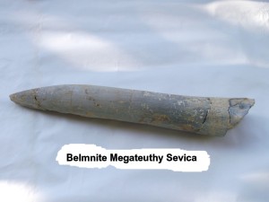 Photo 33.JPG