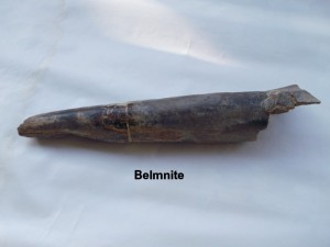 Photo 34.JPG