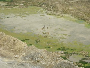 Photo 36.JPG