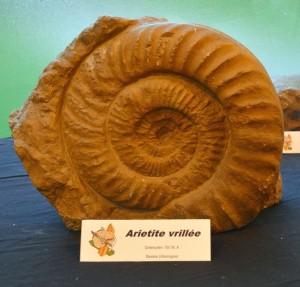 Photo 37.JPG
