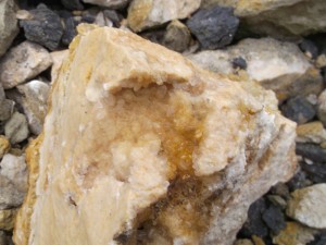 Photo 39.JPG