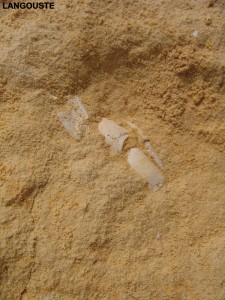 Photo 46.JPG