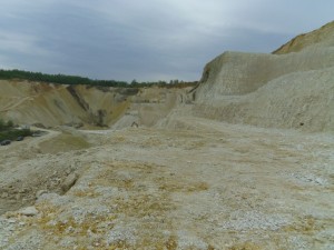 Photo 4.JPG