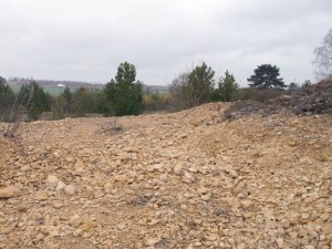 Photo 5.JPG