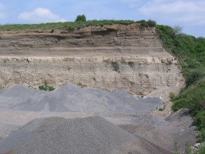 Photo 5.JPG