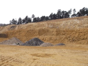 Photo 5.JPG