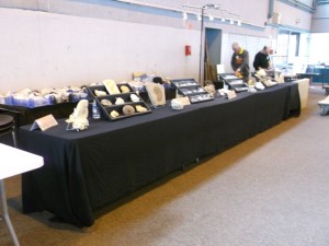 Photo 6.JPG