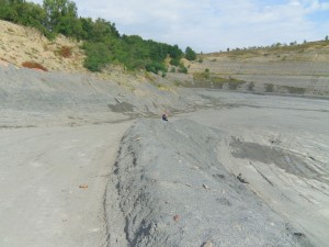 Photo 6.JPG