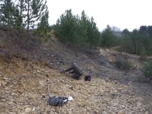 Photo 7.JPG