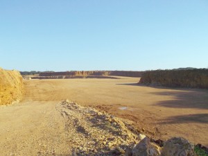 Photo 8.JPG