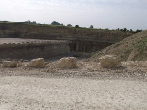 Photo 8.JPG