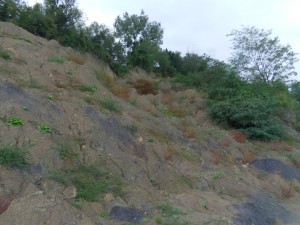 Photo 9.JPG