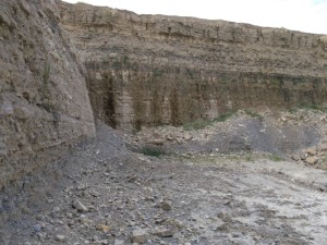Photo 9.JPG