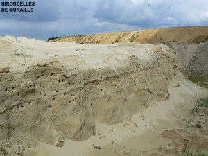Photo 9.jpg