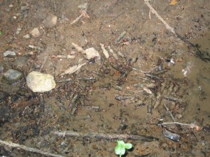 Photo Image002.jpg