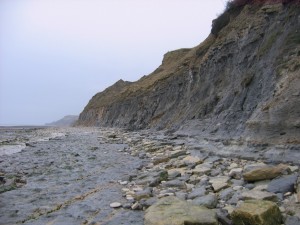 Photo Image003.jpg