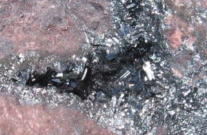 Photo Image006.jpg