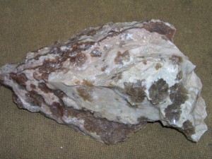 Photo Image007.jpg