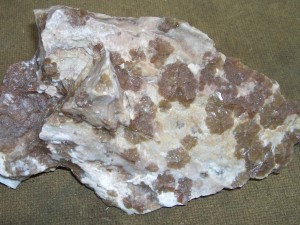 Photo Image008.jpg