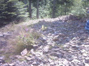 Photo Image014.jpg