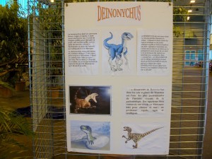 Photo Image015.jpg