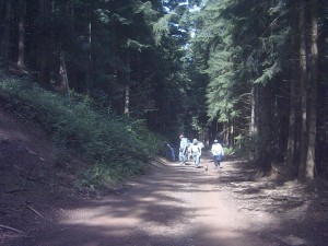 Photo Image028.jpg