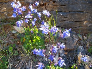Photo Image118.jpg