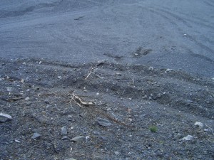Photo Img (11).JPG