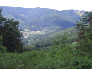 Photo Img (5).jpg