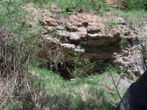 Photo Img (6).JPG
