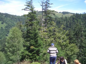 Photo Img (8).jpg