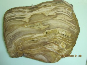 Photo Musee004.jpg