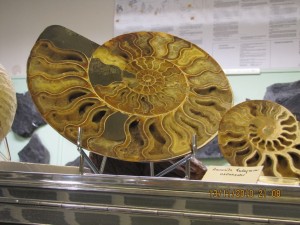 Photo Musee011.jpg