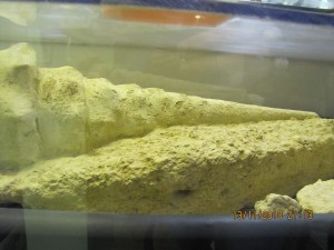 Photo Musee016.jpg