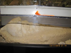 Photo Musee017.jpg
