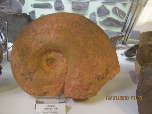 Photo Musee020.jpg