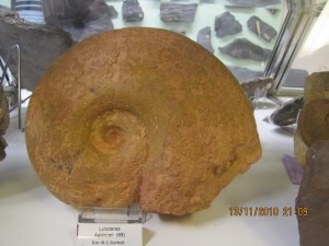 Photo Musee021.jpg
