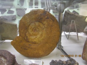Photo Musee022.jpg