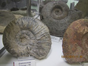 Photo Musee023.jpg