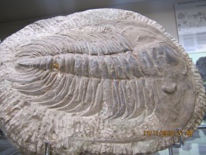 Photo Musee024.jpg